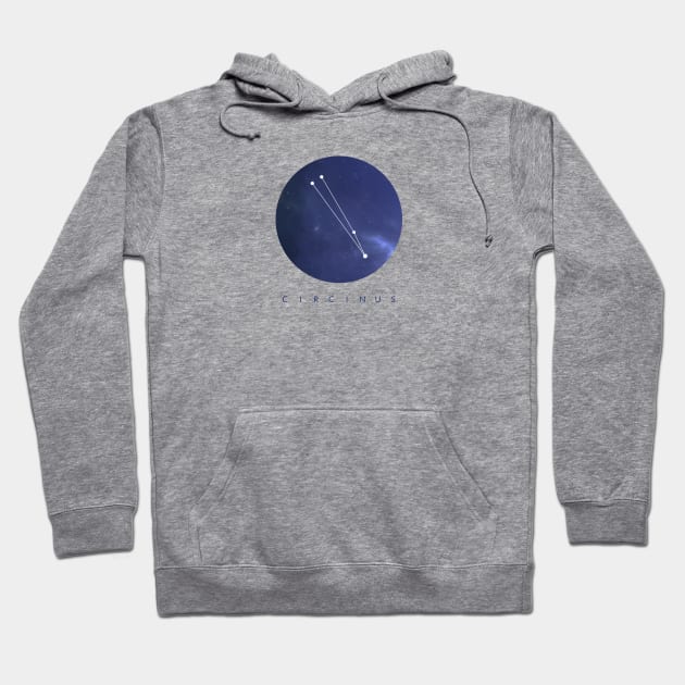 Circinus Constellation Hoodie by clothespin